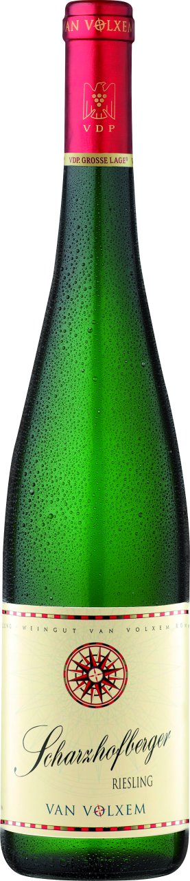 Van Volxem Scharzhofberger Riesling